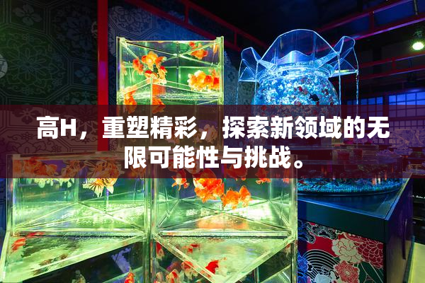 高H，重塑精彩，探索新领域的无限可能性与挑战。