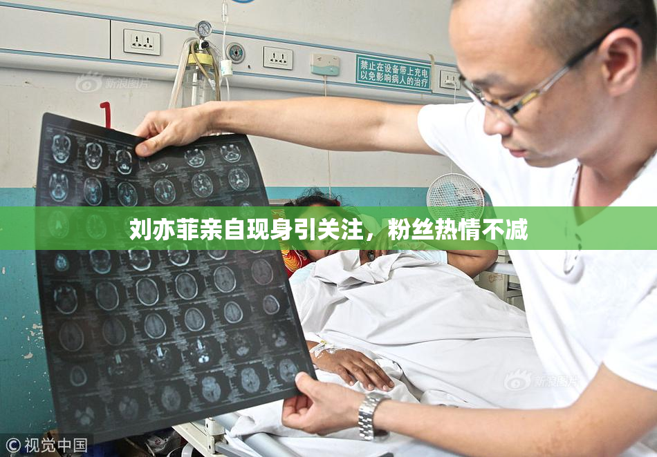 刘亦菲亲自现身引关注，粉丝热情不减