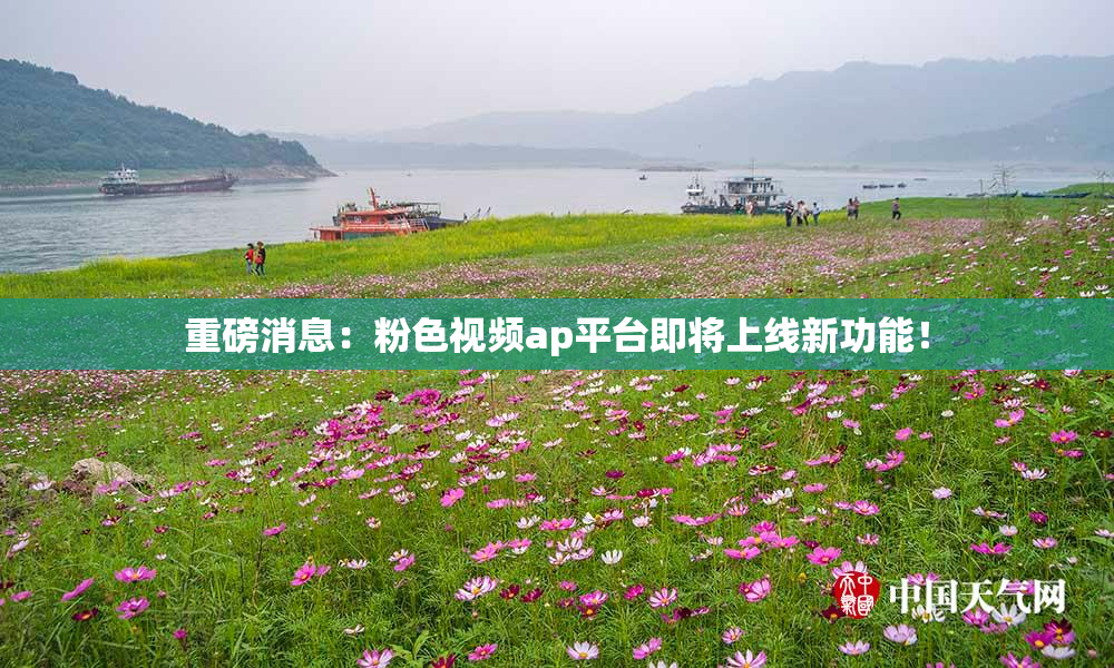 重磅消息：粉色视频ap平台即将上线新功能！