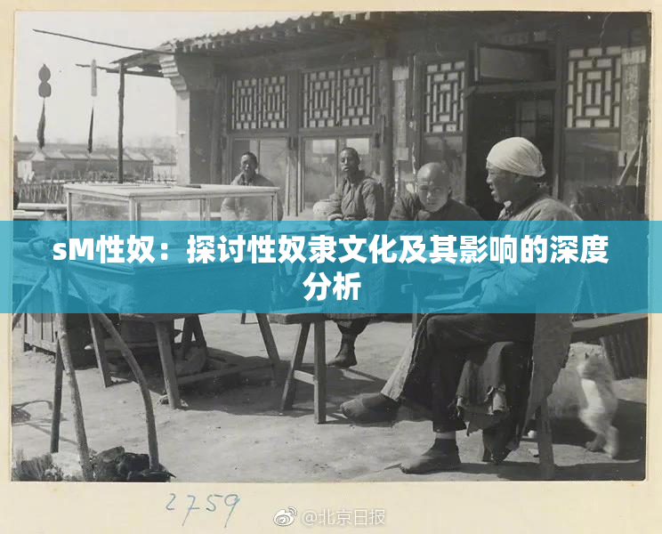 sM性奴：探讨性奴隶文化及其影响的深度分析