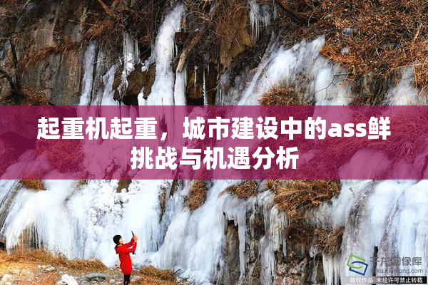 起重机起重，城市建设中的ass鲜挑战与机遇分析