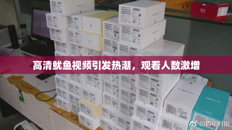 高清鱿鱼视频引发热潮，观看人数激增