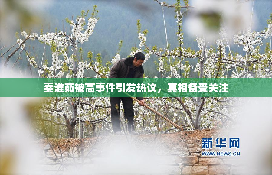 秦淮茹被高事件引发热议，真相备受关注