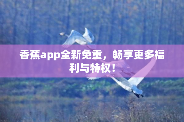 香蕉app全新免重，畅享更多福利与特权！