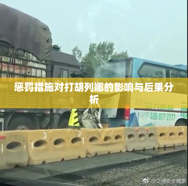 惩罚措施对打胡列娜的影响与后果分析