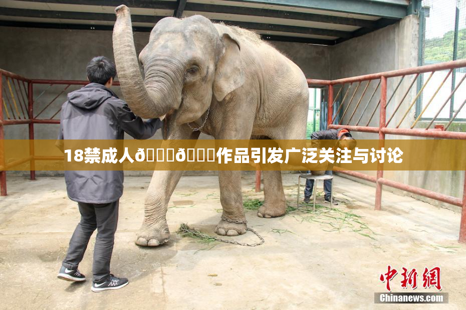 18禁成人🍆🍑作品引发广泛关注与讨论