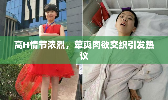 高H情节浓烈，荤爽肉欲交织引发热议