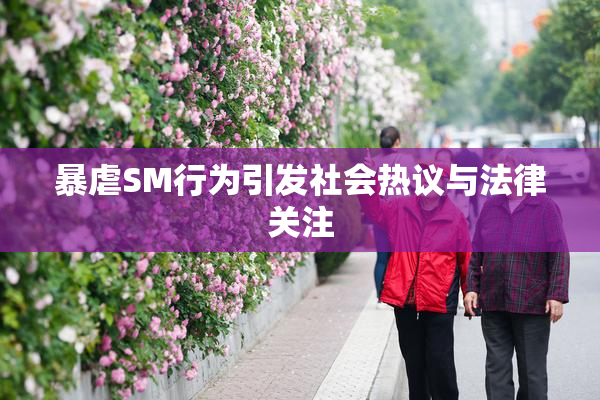暴虐SM行为引发社会热议与法律关注