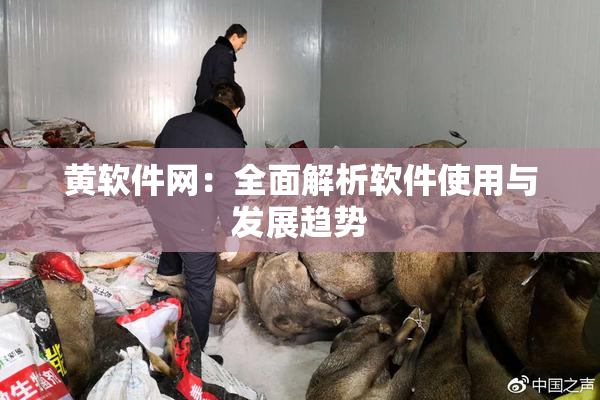 黄软件网：全面解析软件使用与发展趋势