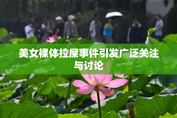 美女裸体拉屎事件引发广泛关注与讨论