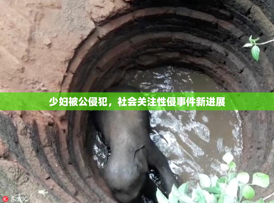 少妇被公侵犯，社会关注性侵事件新进展