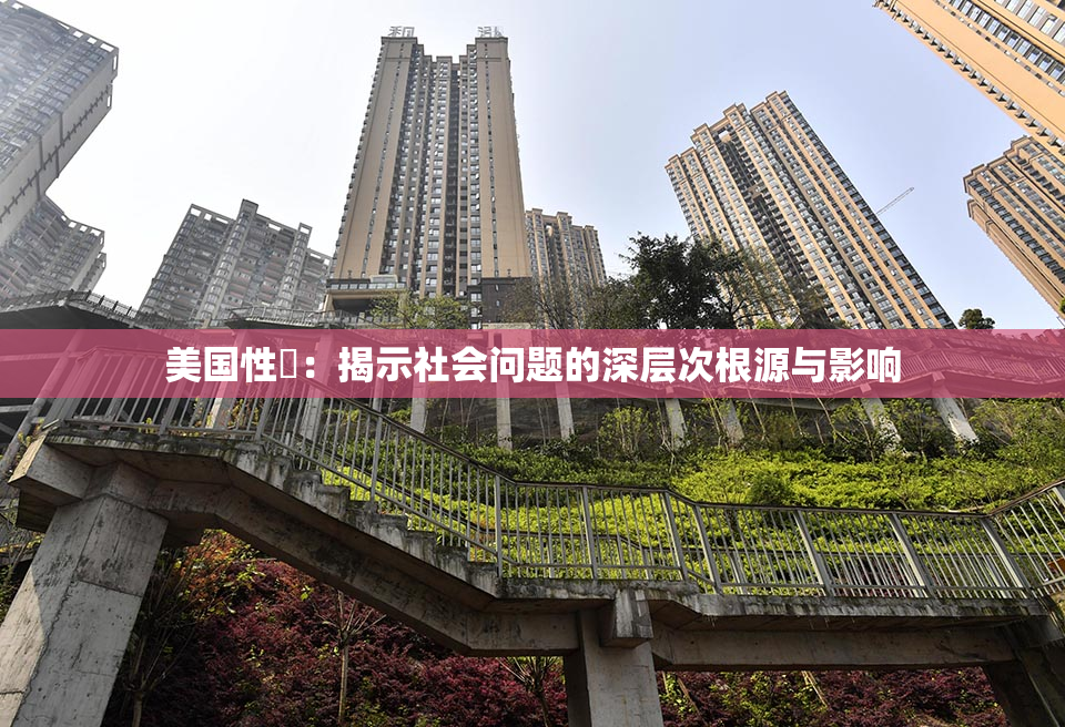 美国性婬：揭示社会问题的深层次根源与影响