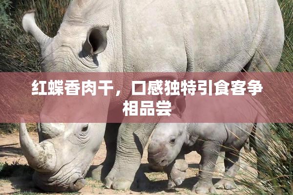 红蝶香肉干，口感独特引食客争相品尝