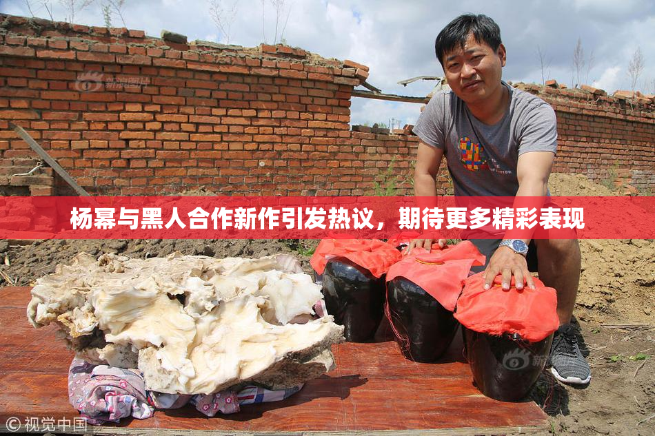 杨幂与黑人合作新作引发热议，期待更多精彩表现
