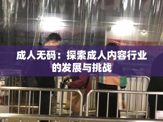 成人无码：探索成人内容行业的发展与挑战