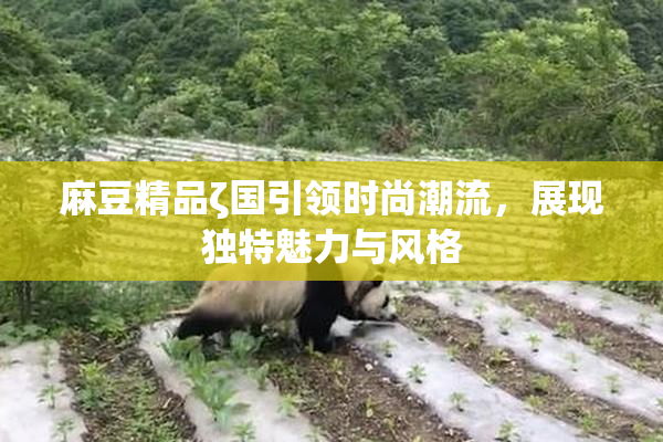 麻豆精品ζ国引领时尚潮流，展现独特魅力与风格