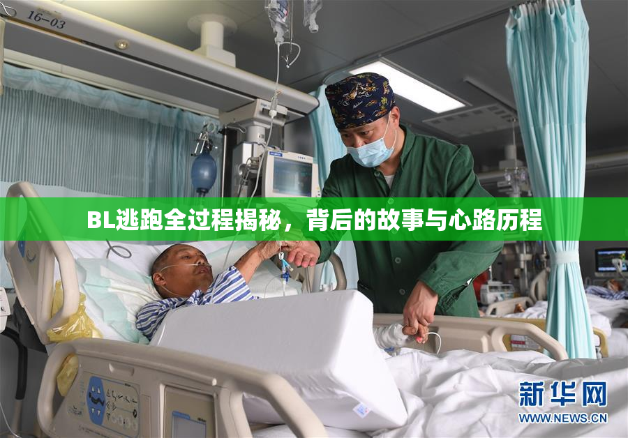 BL逃跑全过程揭秘，背后的故事与心路历程