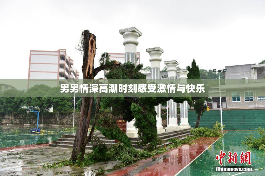 男男情深高潮时刻感受激情与快乐