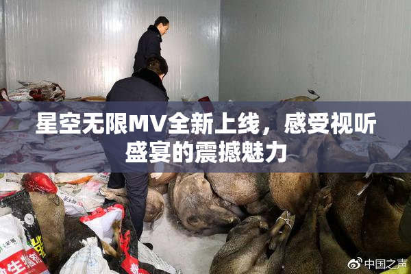 星空无限MV全新上线，感受视听盛宴的震撼魅力