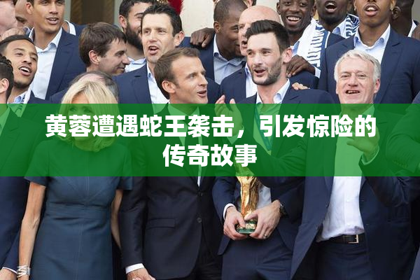 黄蓉遭遇蛇王袭击，引发惊险的传奇故事