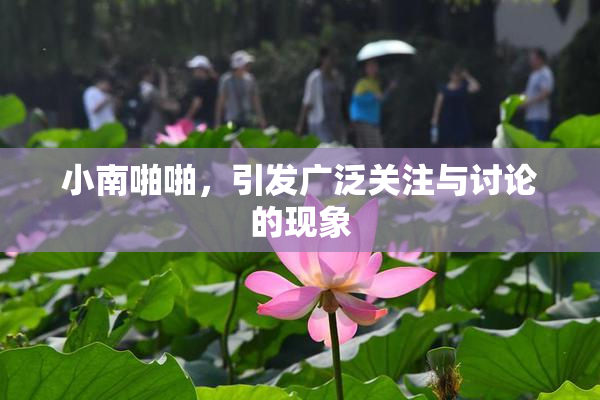 小南啪啪，引发广泛关注与讨论的现象