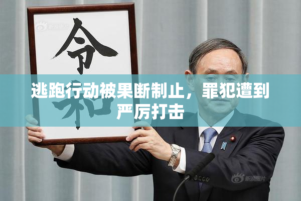 逃跑行动被果断制止，罪犯遭到严厉打击