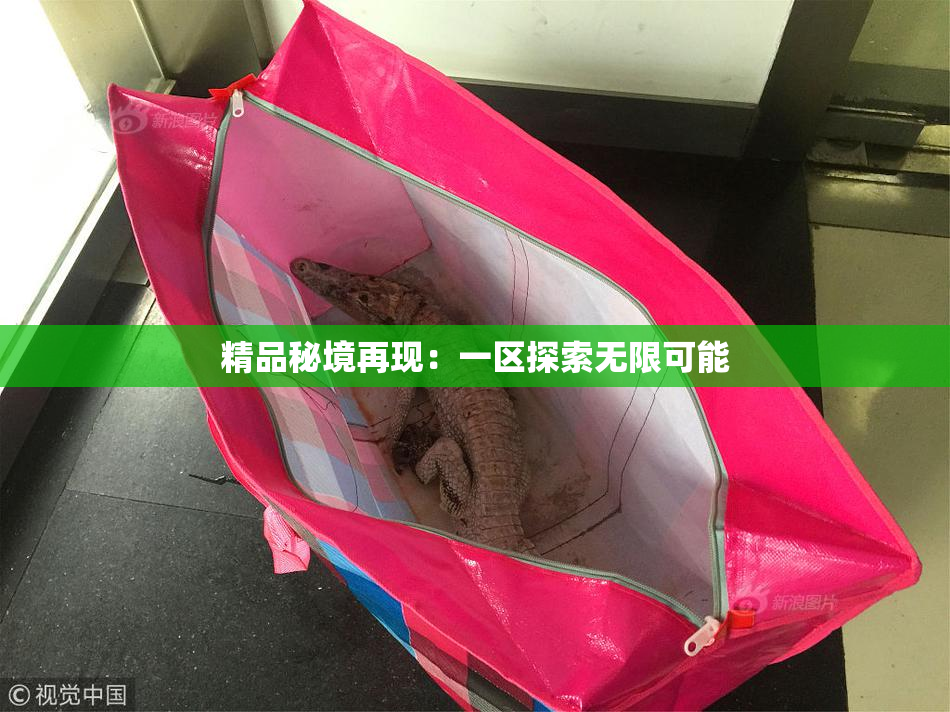 精品秘境再现：一区探索无限可能