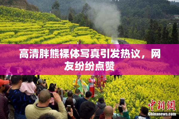 高清胖熊裸体写真引发热议，网友纷纷点赞