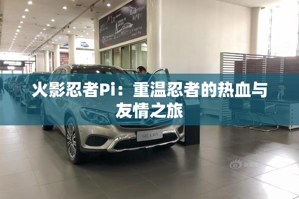 火影忍者Pi：重温忍者的热血与友情之旅