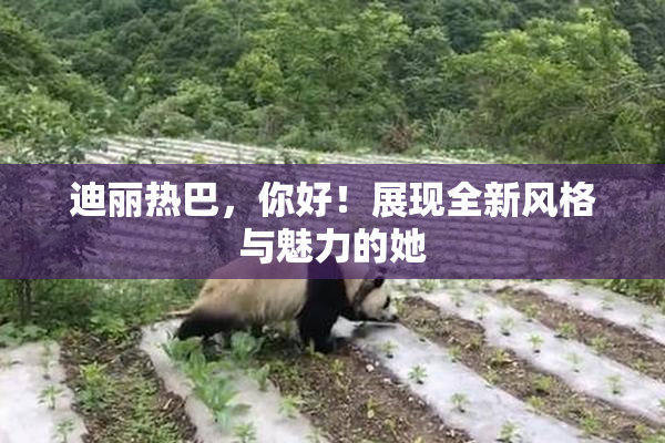 迪丽热巴，你好！展现全新风格与魅力的她