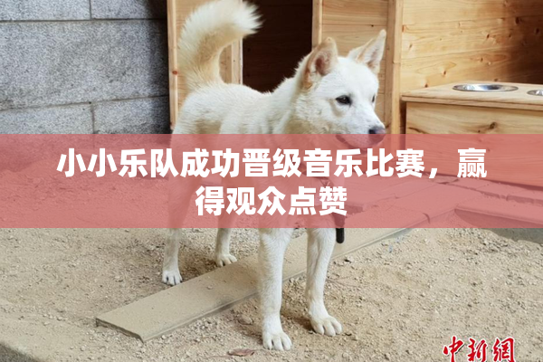 小小乐队成功晋级音乐比赛，赢得观众点赞