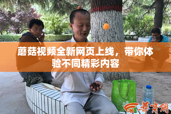 蘑菇视频全新网页上线，带你体验不同精彩内容
