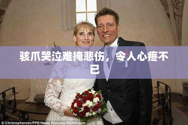 骇爪哭泣难掩悲伤，令人心疼不已