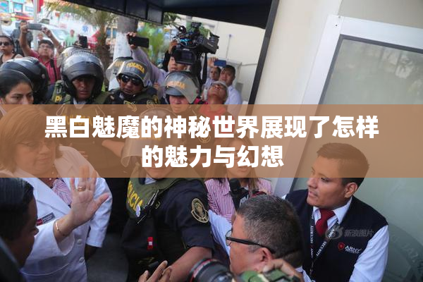 黑白魅魔的神秘世界展现了怎样的魅力与幻想