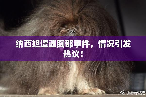 纳西妲遭遇胸部事件，情况引发热议！