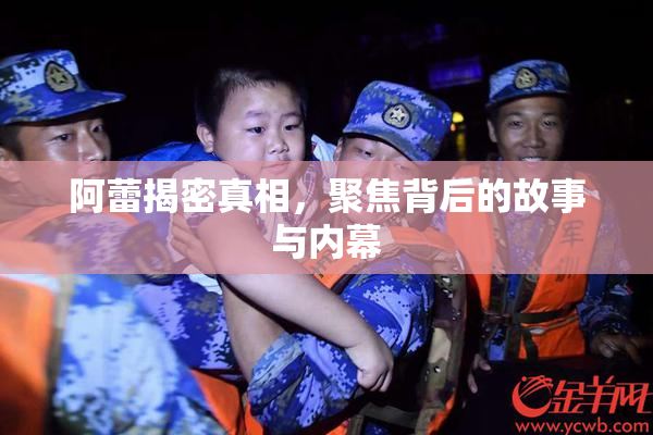 阿蕾揭密真相，聚焦背后的故事与内幕