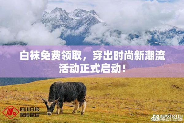 白袜免费领取，穿出时尚新潮流活动正式启动！