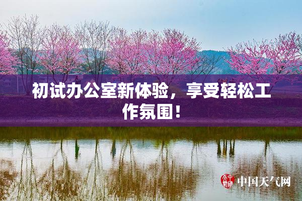初试办公室新体验，享受轻松工作氛围！