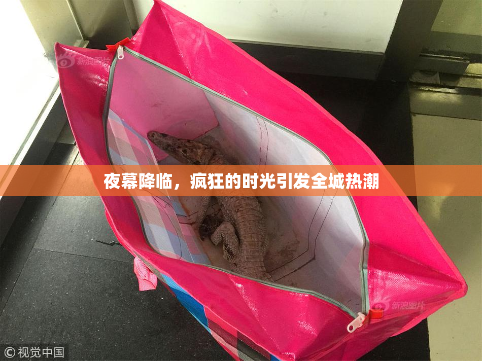 夜幕降临，疯狂的时光引发全城热潮