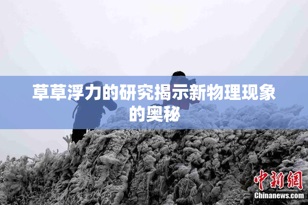 草草浮力的研究揭示新物理现象的奥秘