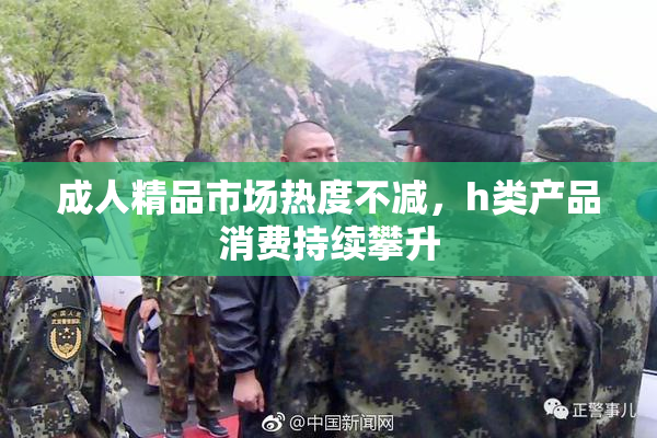 成人精品市场热度不减，h类产品消费持续攀升
