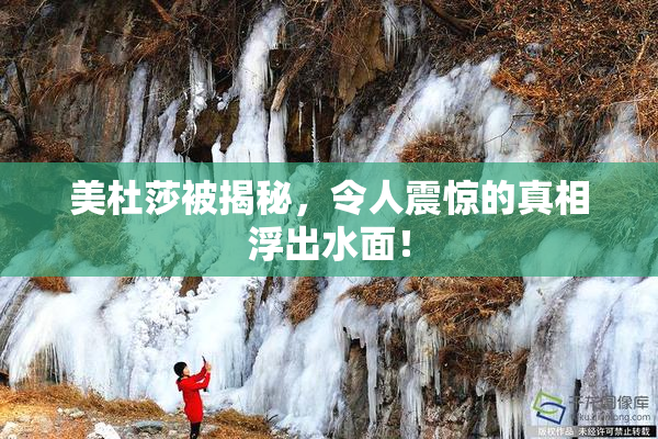 美杜莎被揭秘，令人震惊的真相浮出水面！