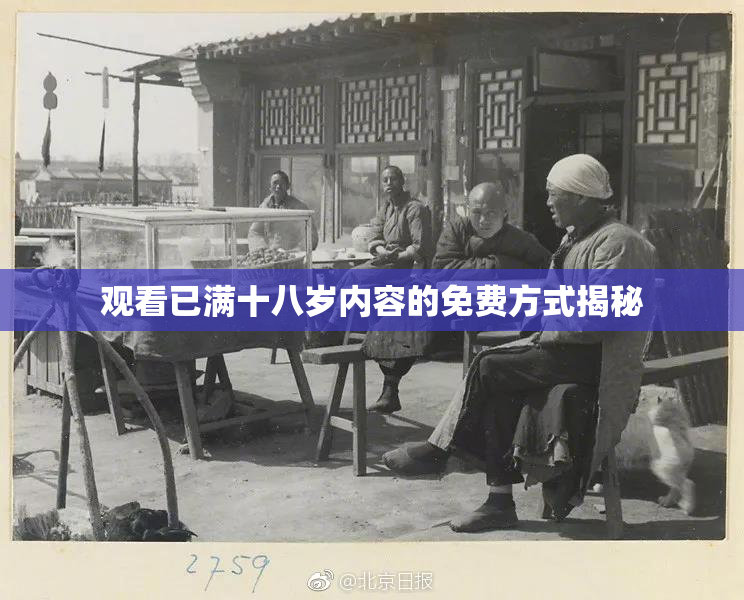 观看已满十八岁内容的免费方式揭秘