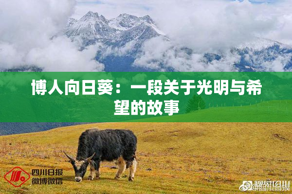 博人向日葵：一段关于光明与希望的故事