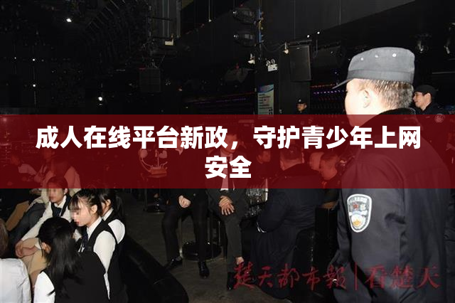 成人在线平台新政，守护青少年上网安全