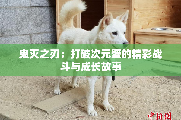 鬼灭之刃：打破次元壁的精彩战斗与成长故事