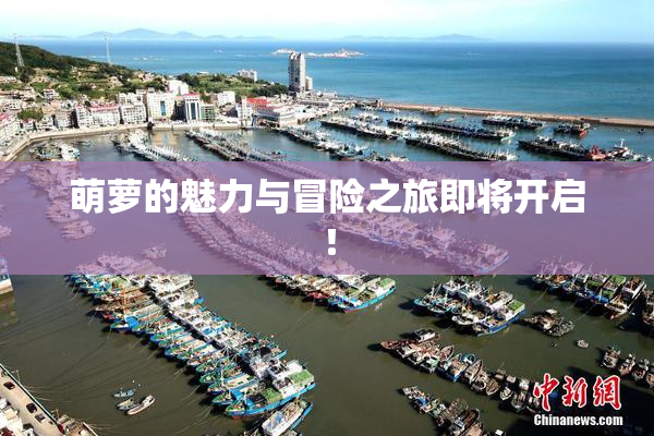 萌萝的魅力与冒险之旅即将开启！