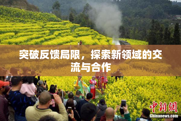 突破反馈局限，探索新领域的交流与合作