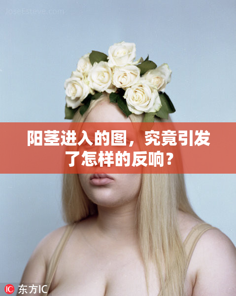阳茎进入的图，究竟引发了怎样的反响？