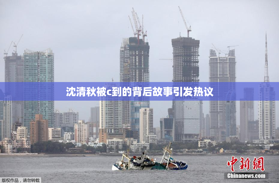 沈清秋被c到的背后故事引发热议